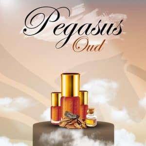 Pegasus oud